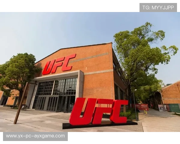 UFC爆发训练更具致命性