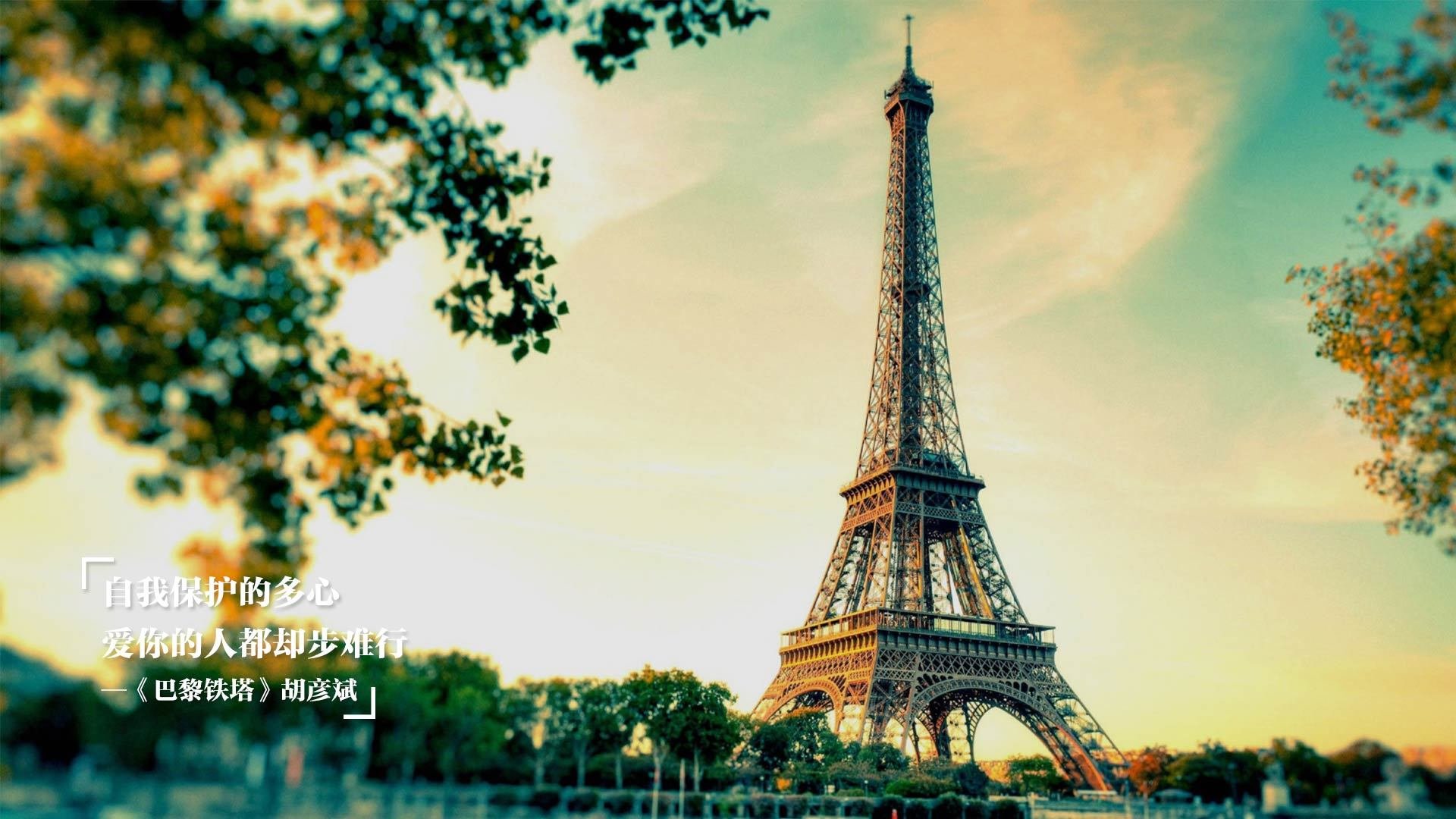 AYX体育-国际乒乓赛事继续火热进行，各国选手争夺荣誉，国际乒乓球比赛排名