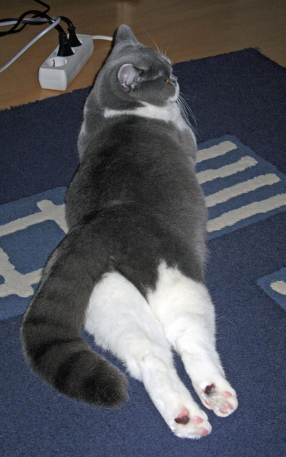 爱游戏体育官方网站-国际热身赛中国女足逆袭 球员发挥备受肯定，国足热身赛比赛结果