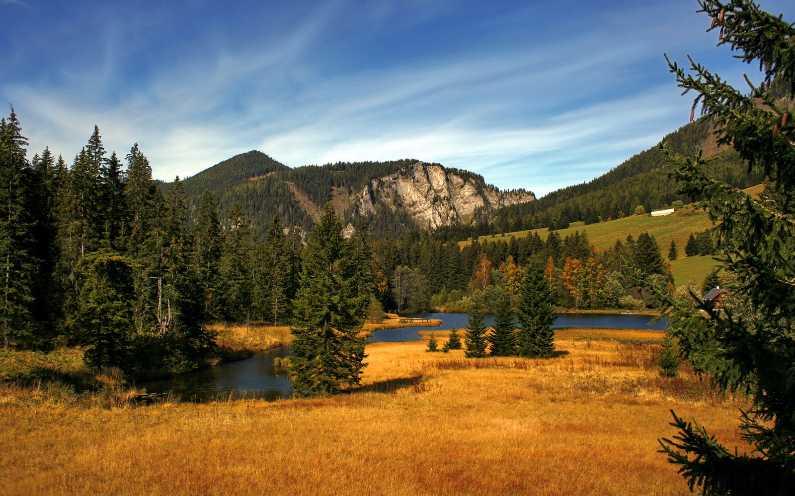爱游戏app-50蛙火药味十足 覃海洋表现不俗，覃海洋 哪里人
