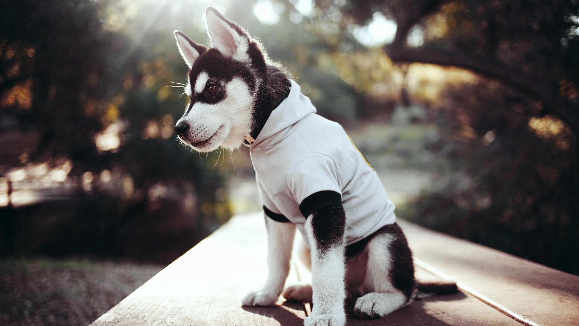 -世界杯战火纷飞：场场激战，高潮不断，世界杯之战