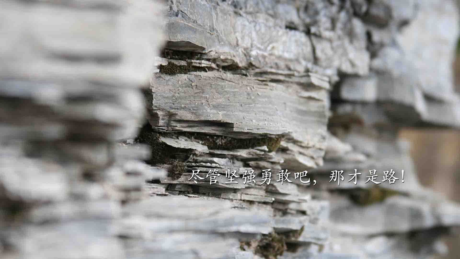 爱游戏-中国足球职业俱乐部青少年培训项目全面展开，中国足协青少年培训注册规定