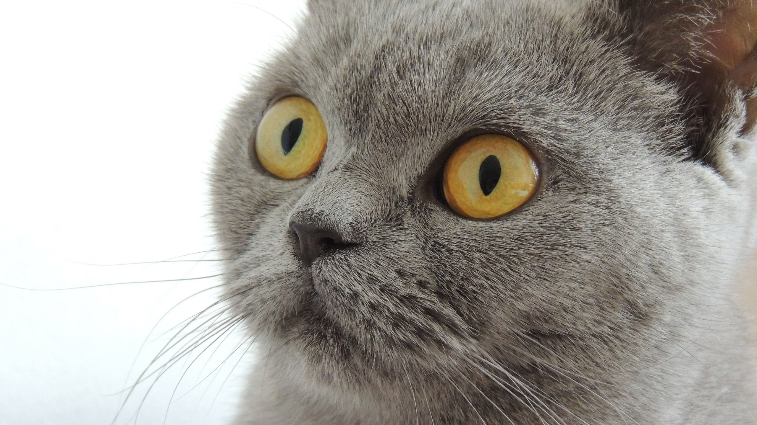 爱游戏体育（AYX）官方APP下载-中国足球青少年足球训练装备更新换代，中国青少年足球训练大纲