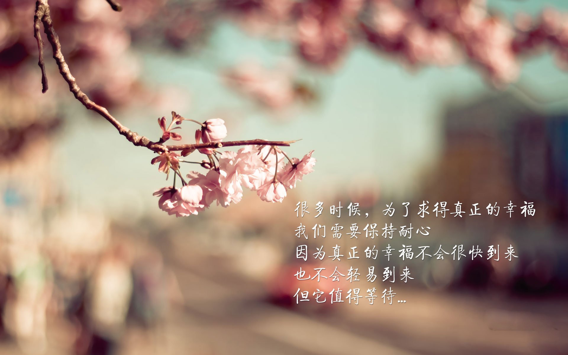 AYX SPORTS-体育场馆智能化升级方案，体育场馆智能化升级方案怎么写