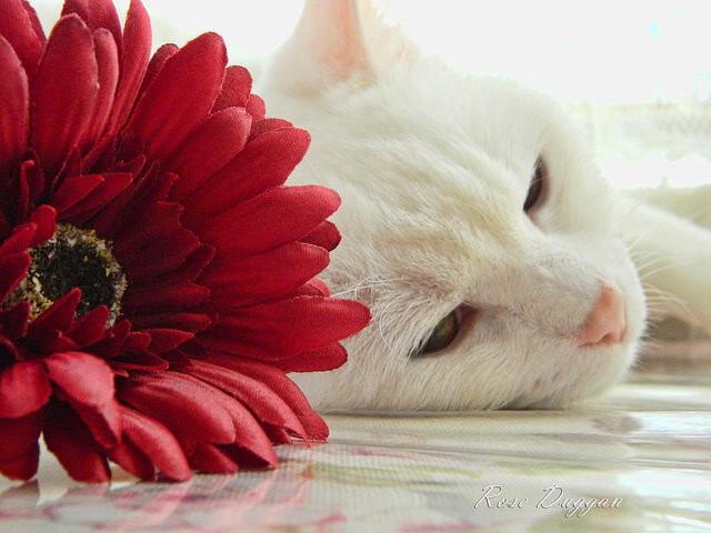 爱游戏app下载-快船在训练营内设战术答题挑战激发积极性,快船教程