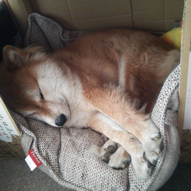 爱游戏体育官方网站-意甲球队在欧战中的表现分析,意甲欧战席位