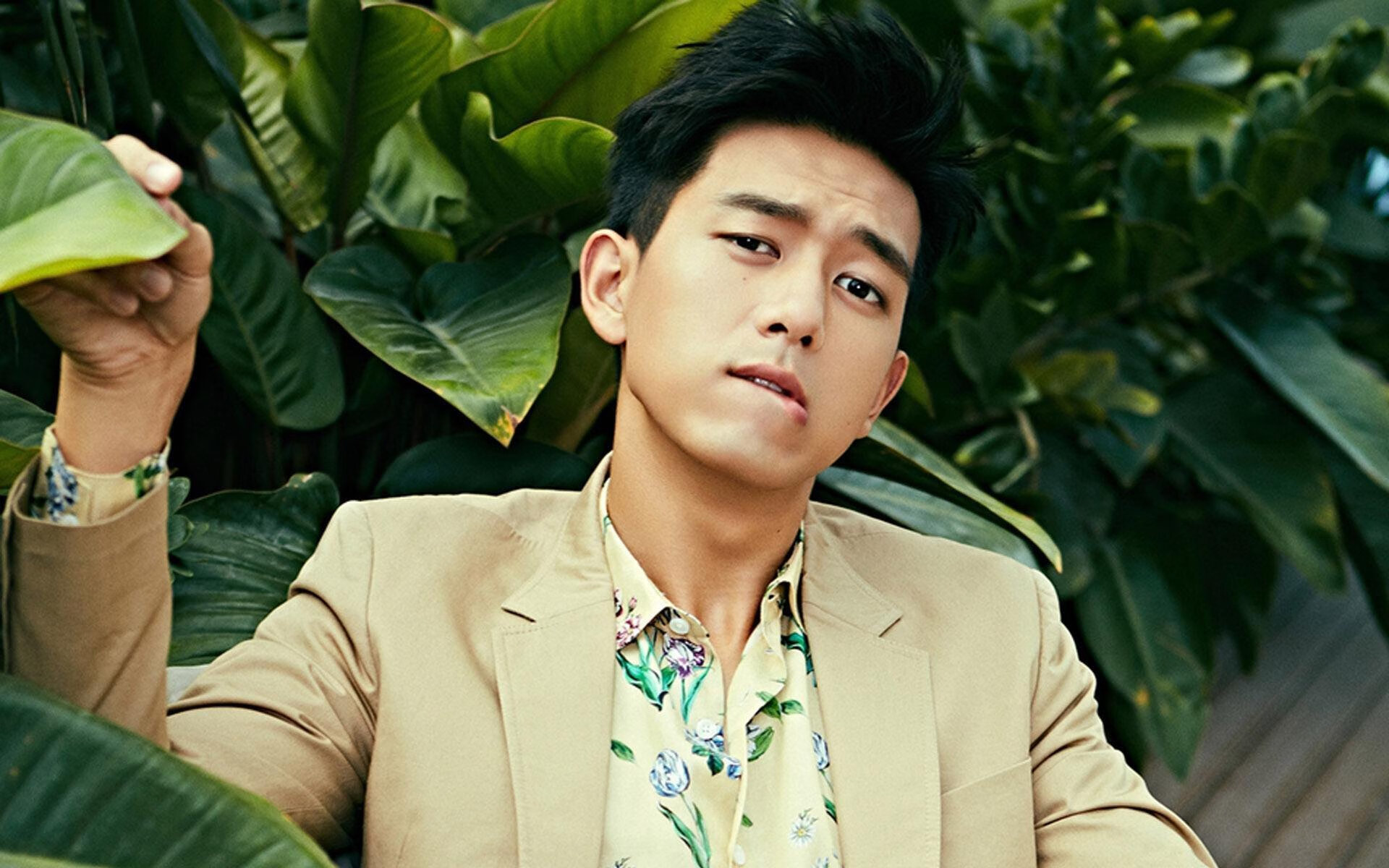 AYX GAME-新西兰橄榄球赛事成为国际品牌合作的重要平台,新西兰橄榄球比赛