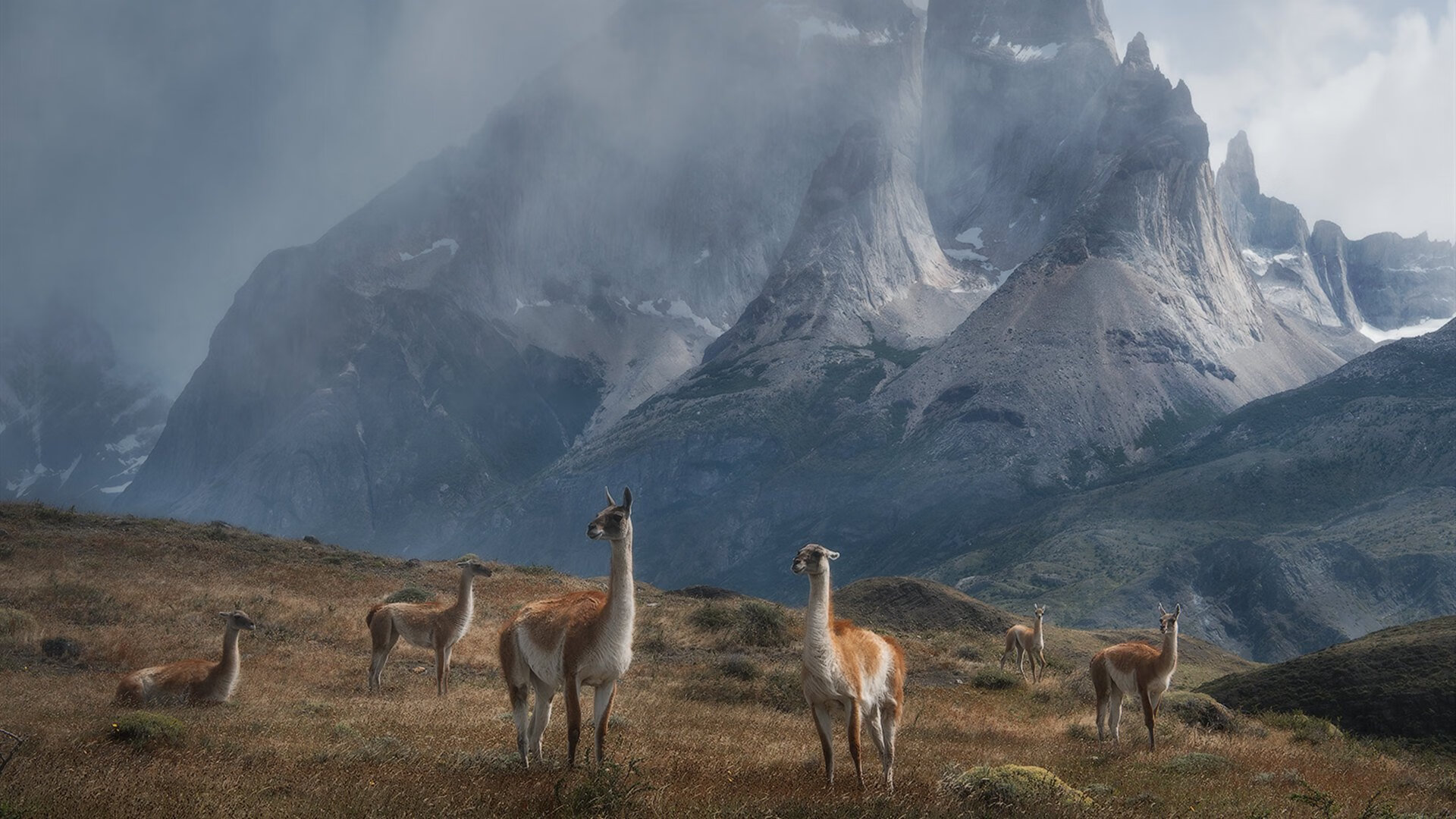 爱游戏中国官方网站平台-橄榄球文化进驻博物馆展览，橄榄球大赛