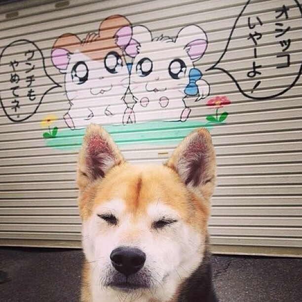 AIYOUXI.COM-湖人助教接受采访谈战术细节,湖人引援工作