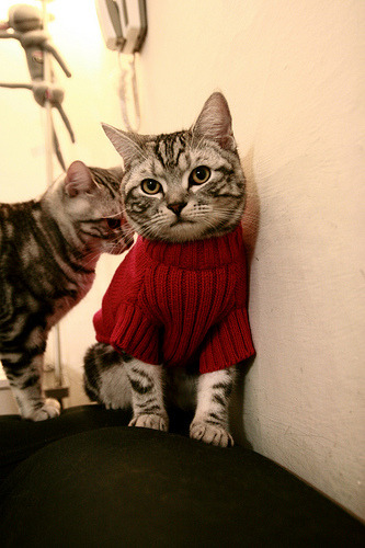 爱游戏娱乐网址-美洲杯赛事营销策略评估，美洲杯总结