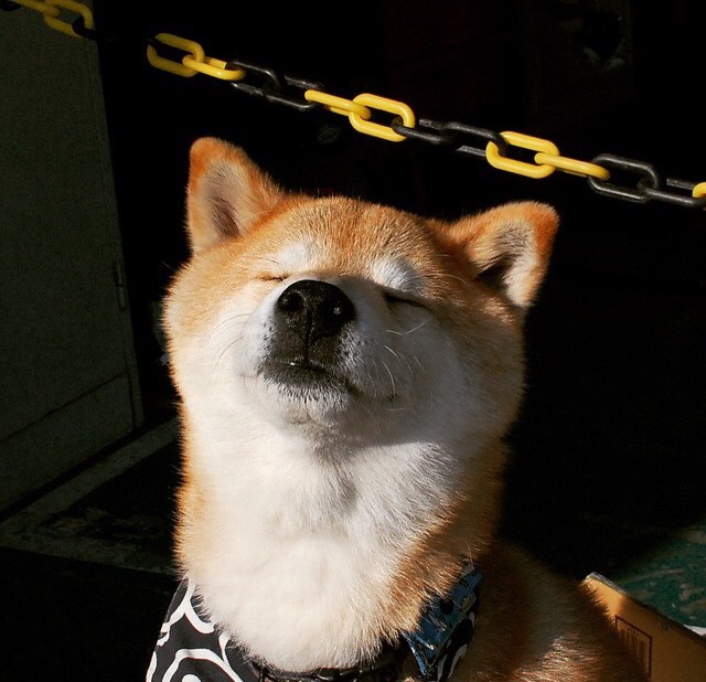 爱游戏体育（AYX）官方APP下载-职业联赛制定球员替换管理流程提升比赛节奏控制，球队要求替换队员