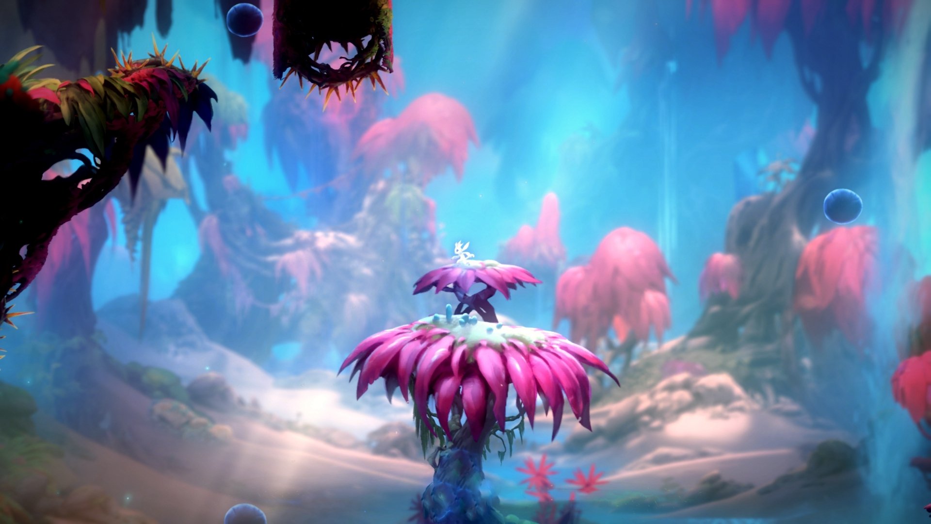 爱游戏官网-跳水动作精准比利时稳步晋级，比利时跳水运动员